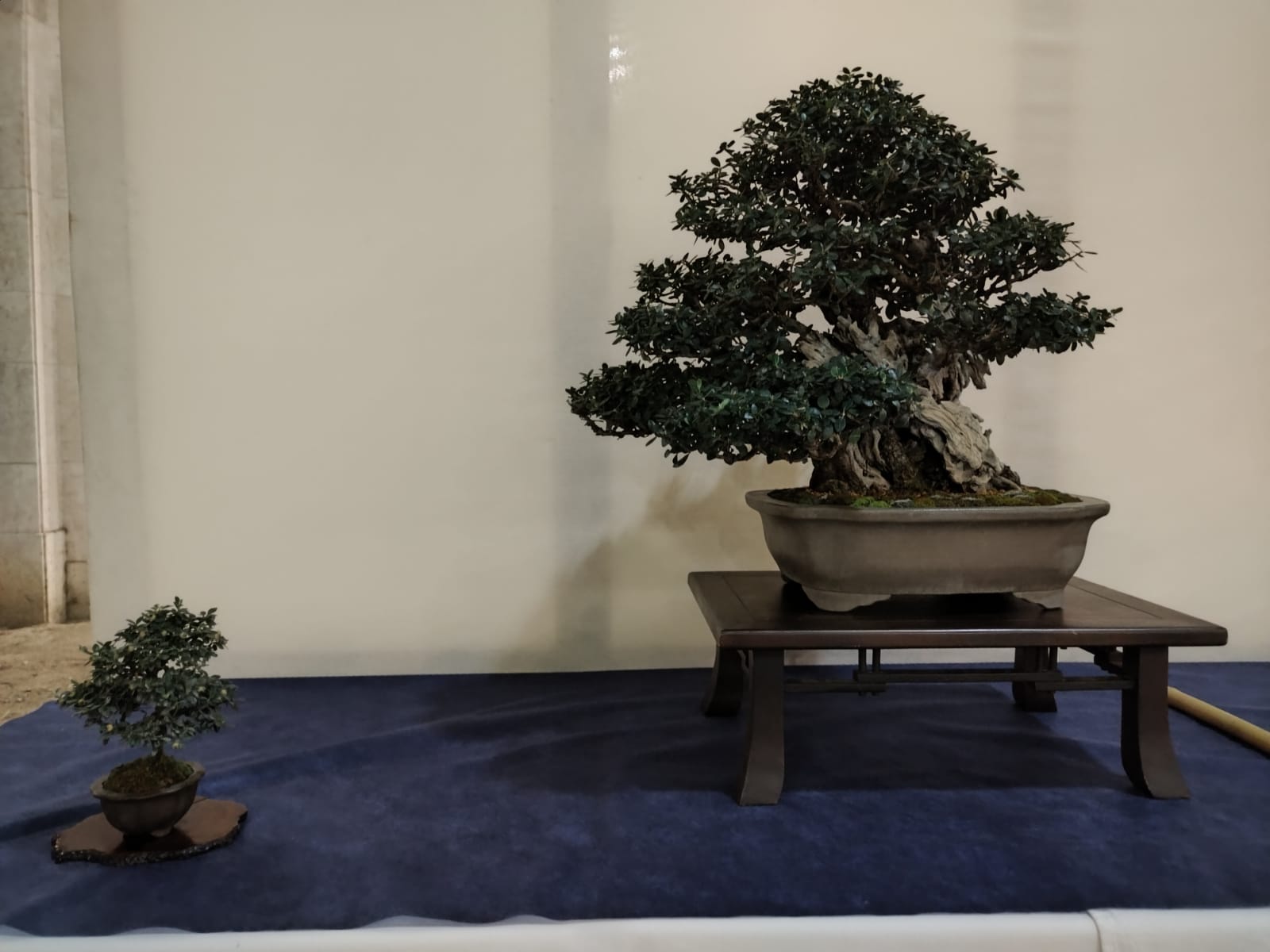 WhatsApp Image 2022-09-10 at 21.15.22